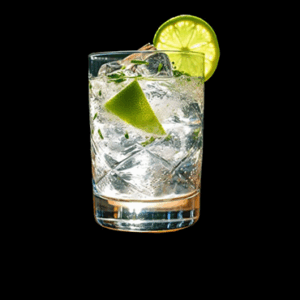 GIN TONIC