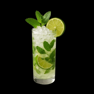 MOJITO VIRGIN